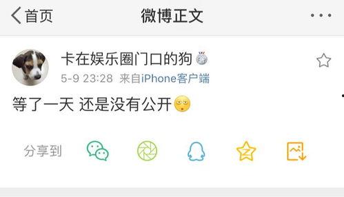 吃瓜爆料栏目,吃瓜爆料栏目带你直击明星幕后真相